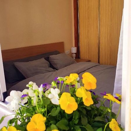 Isamar Apartamento Playa Del Cura Torrevieja Extérieur photo