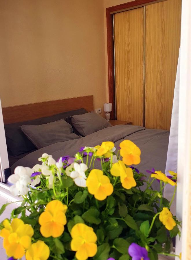 Isamar Apartamento Playa Del Cura Torrevieja Extérieur photo